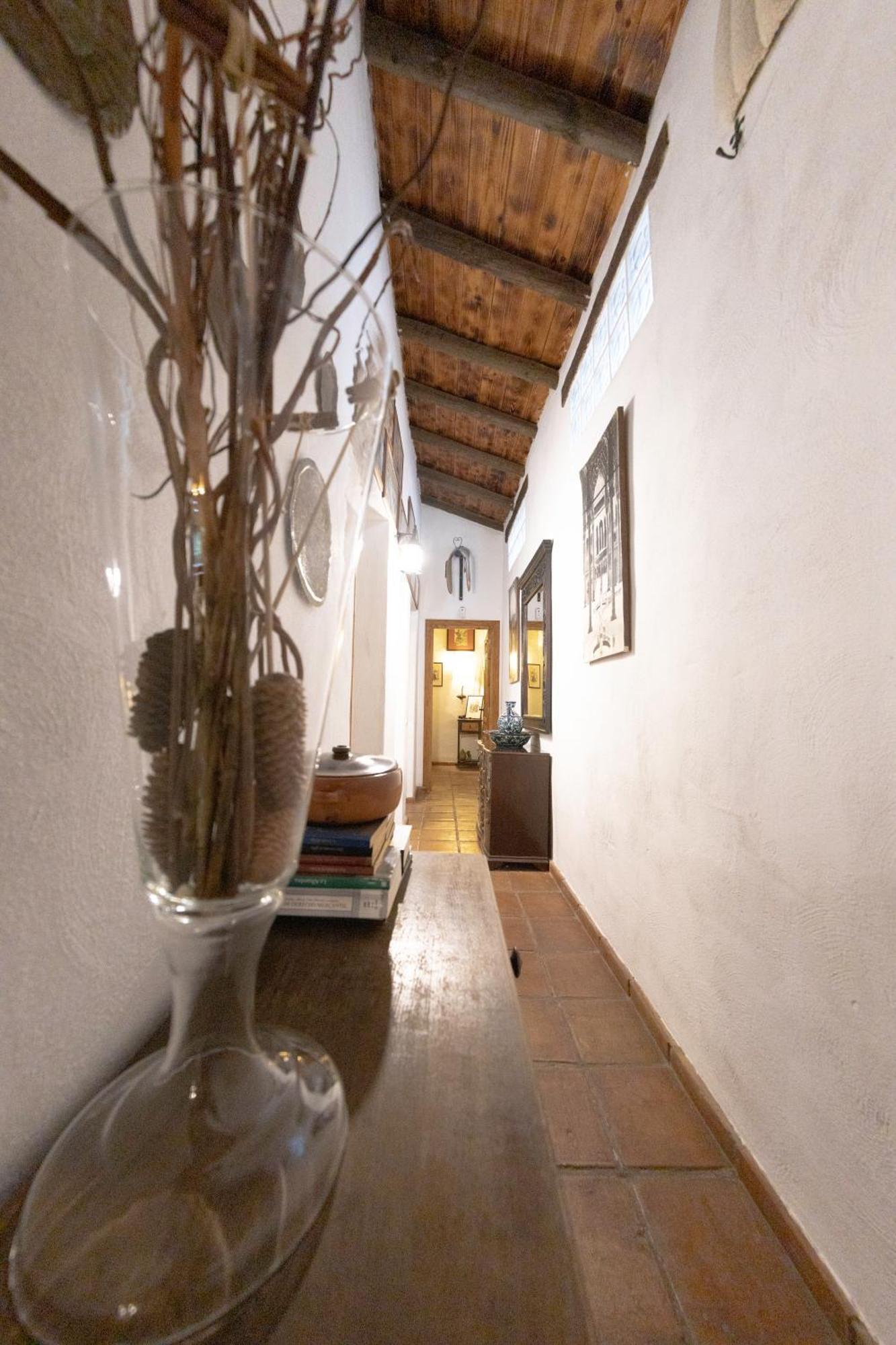 La Cuadra, Finca A Los Pies De Sierra Nevada, A 10 Minutos Del Centro, Piscina, Jardin, Barbacoa La Zubia  Esterno foto