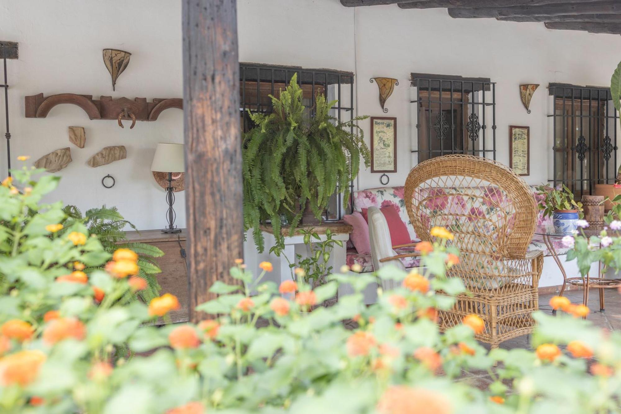 La Cuadra, Finca A Los Pies De Sierra Nevada, A 10 Minutos Del Centro, Piscina, Jardin, Barbacoa La Zubia  Esterno foto
