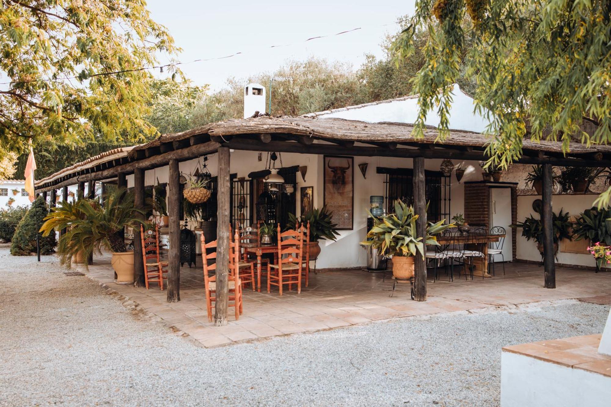La Cuadra, Finca A Los Pies De Sierra Nevada, A 10 Minutos Del Centro, Piscina, Jardin, Barbacoa La Zubia  Esterno foto