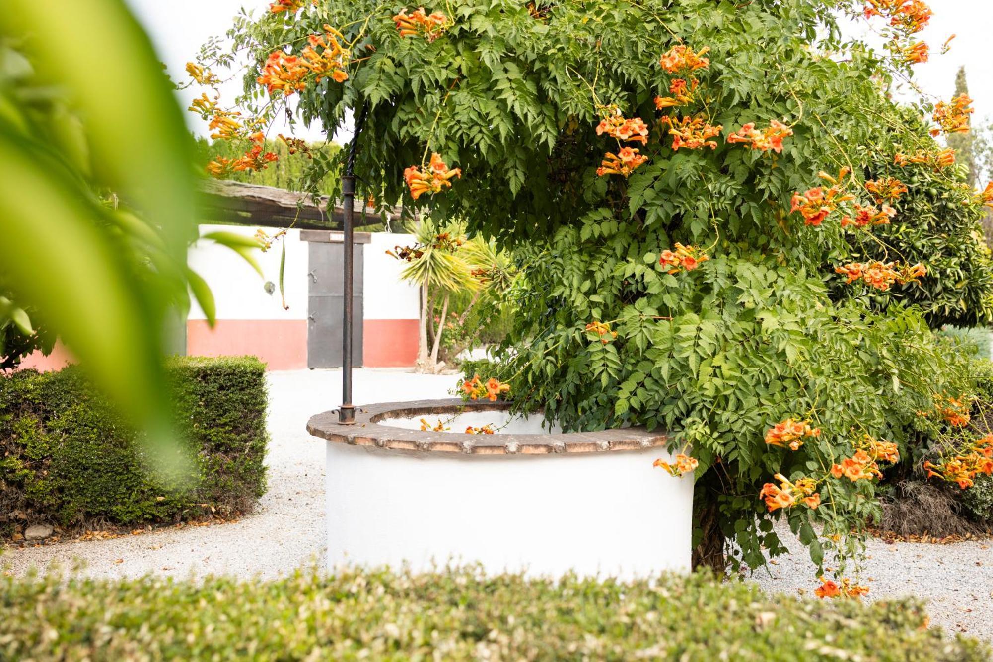 La Cuadra, Finca A Los Pies De Sierra Nevada, A 10 Minutos Del Centro, Piscina, Jardin, Barbacoa La Zubia  Esterno foto