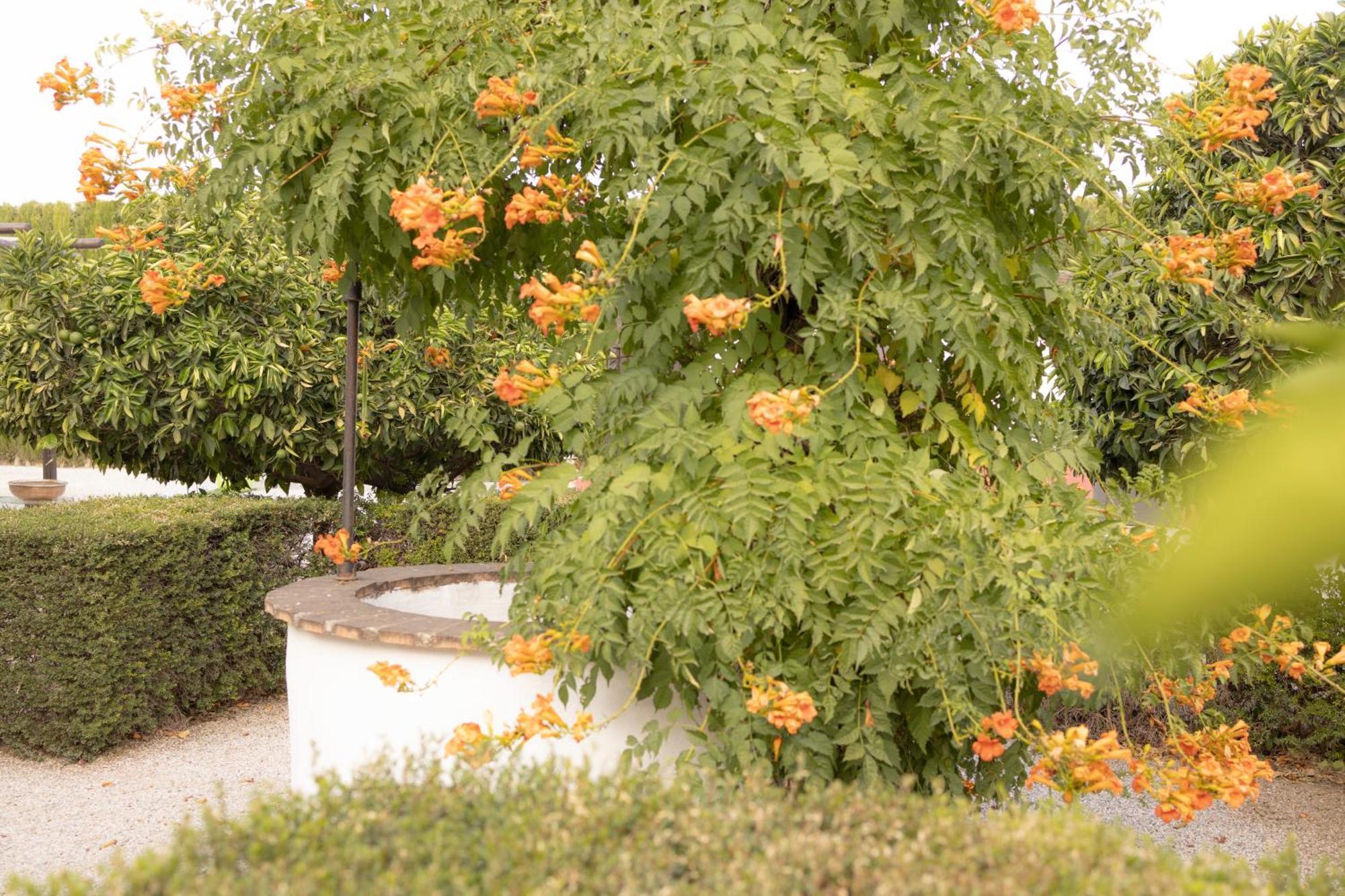 La Cuadra, Finca A Los Pies De Sierra Nevada, A 10 Minutos Del Centro, Piscina, Jardin, Barbacoa La Zubia  Esterno foto